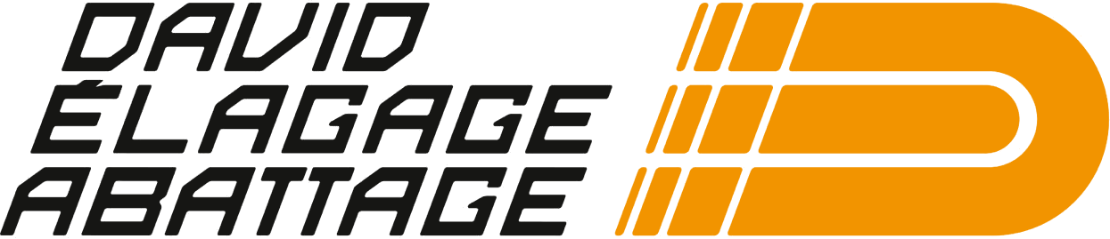 David Elagage Abattage