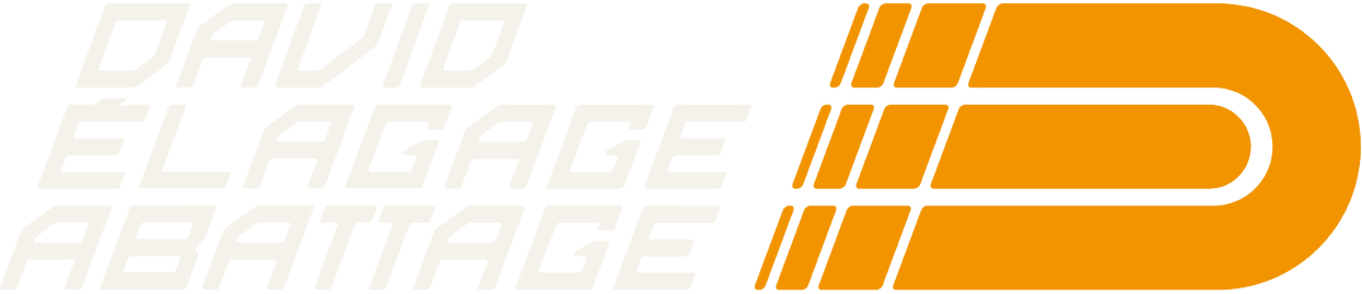 David Elagage Abattage